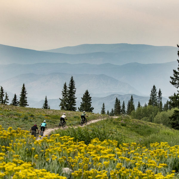 Summer Aspen biking