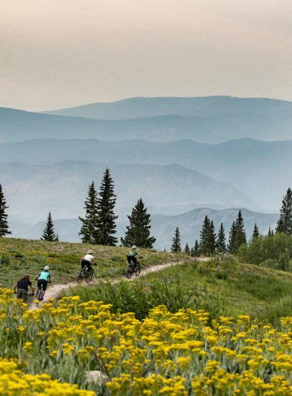 Summer Aspen biking