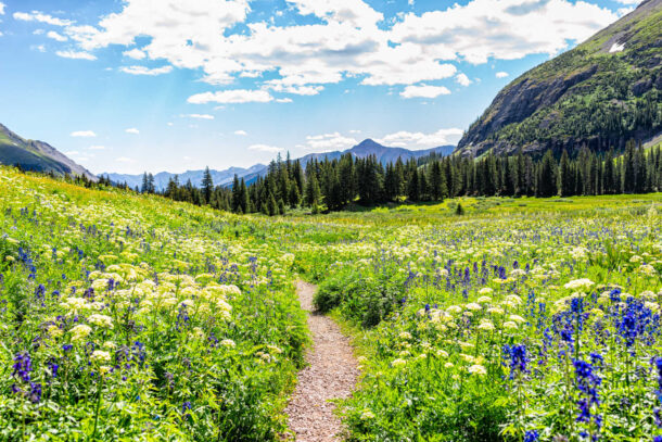 Summer in Colorado