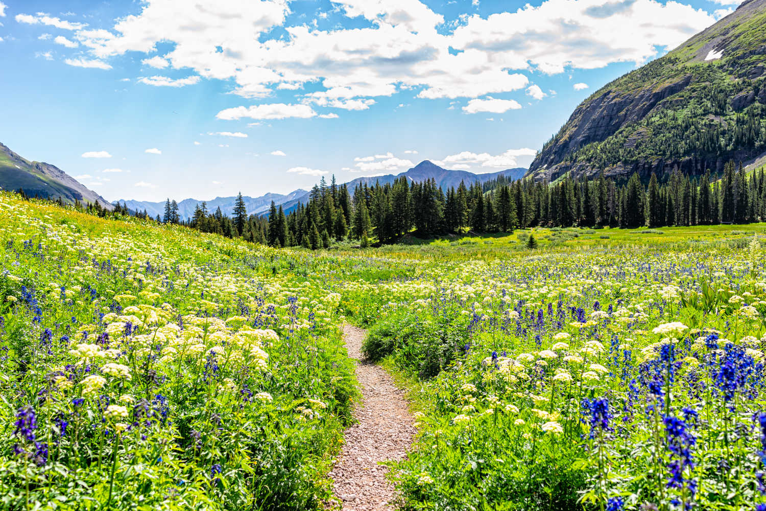 The Ultimate List Of Things To Do In Aspen In The Summer The Mountain 