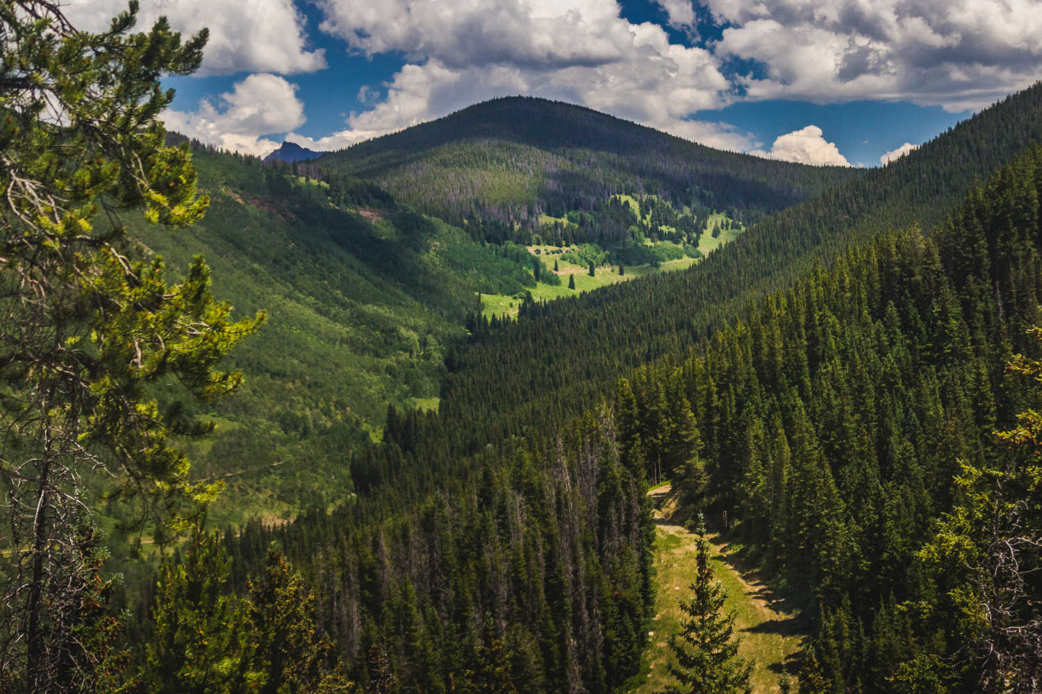 Summer in vail colorado