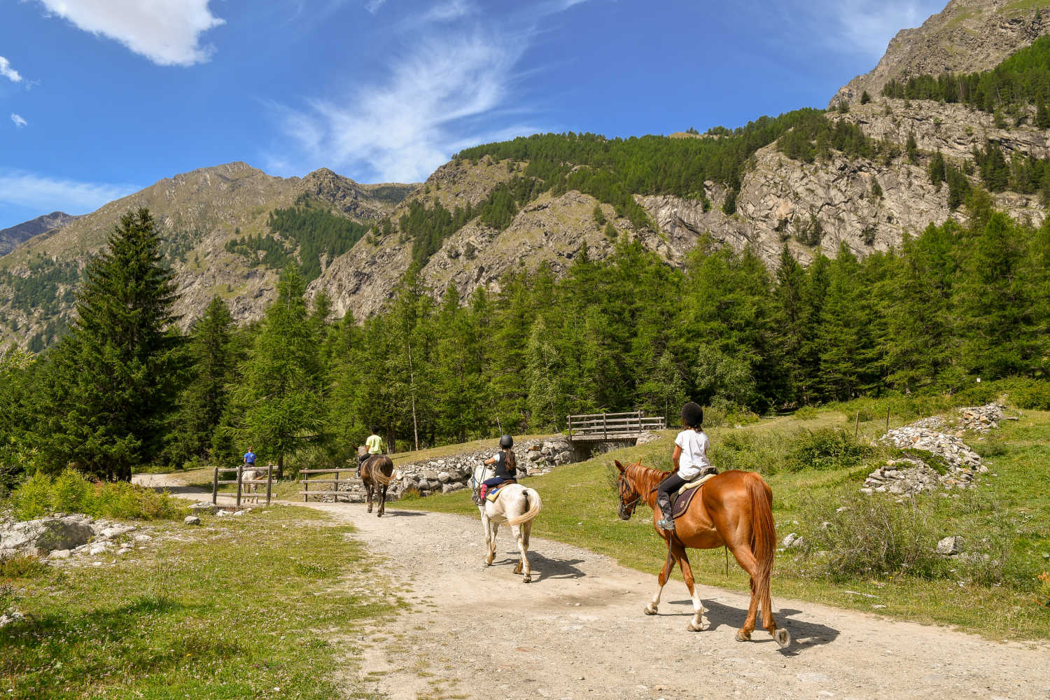 summer vacation to vail colorado