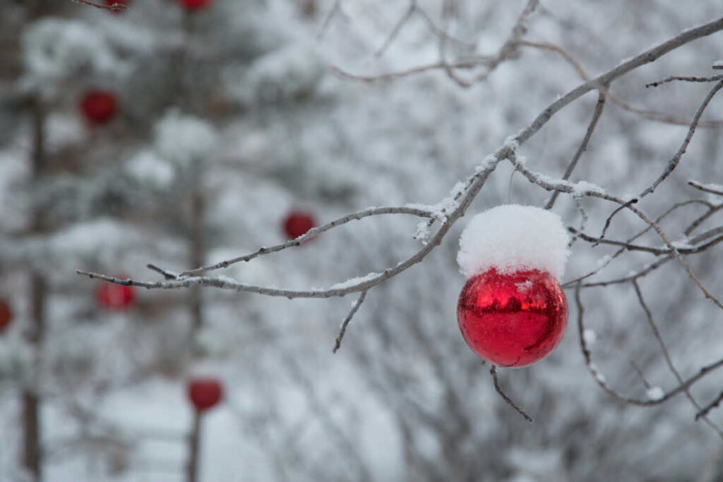 christmas in aspen