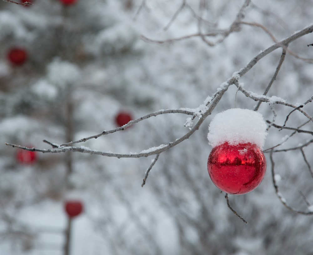 christmas in vail colorado mountains