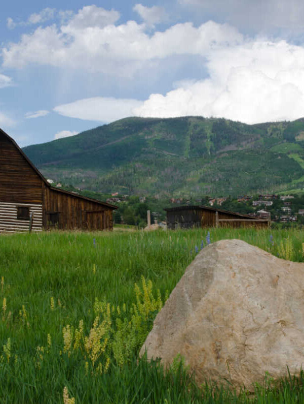 Your Perfect Guide to Steamboat Springs in the Summer