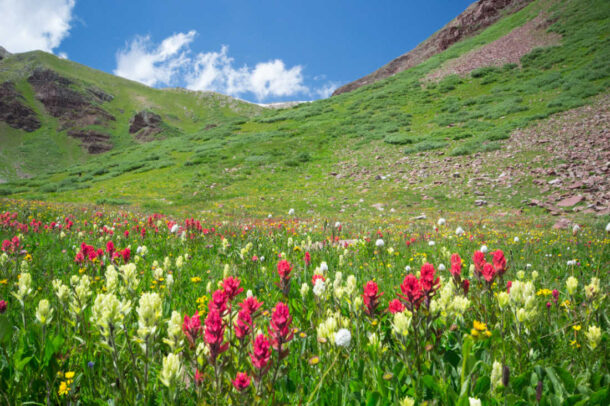 Snowmass in the summer