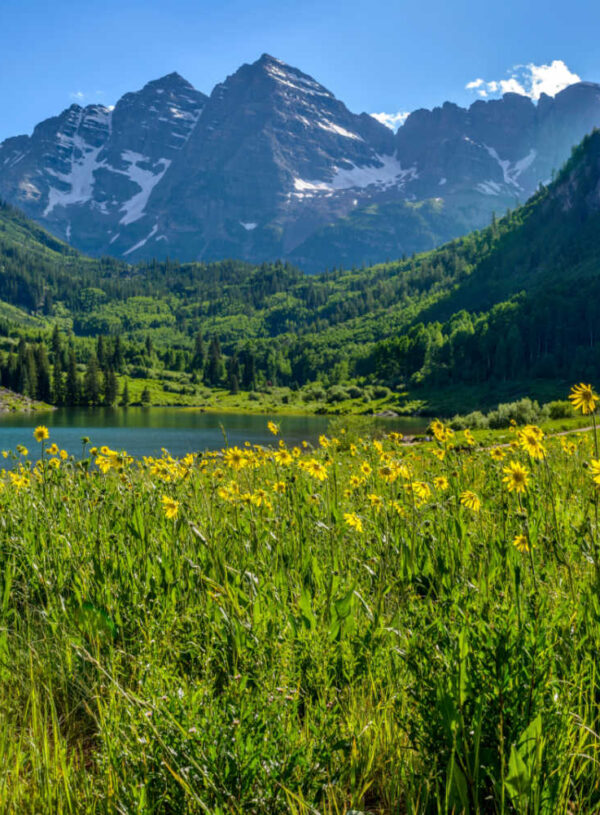 summer in snowmass